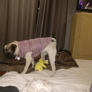 Meet your Posher, Veronica